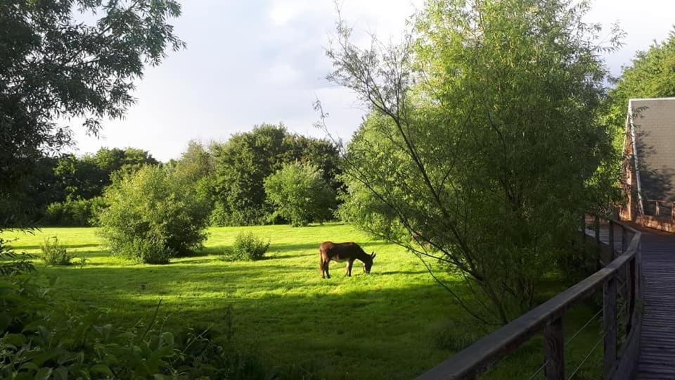 Willa La Petite Motte Ceton Zewnętrze zdjęcie